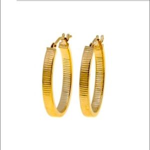 Description: Passport to Gold 14K Yellow Gold Ribbed Oval Hoop Earrings